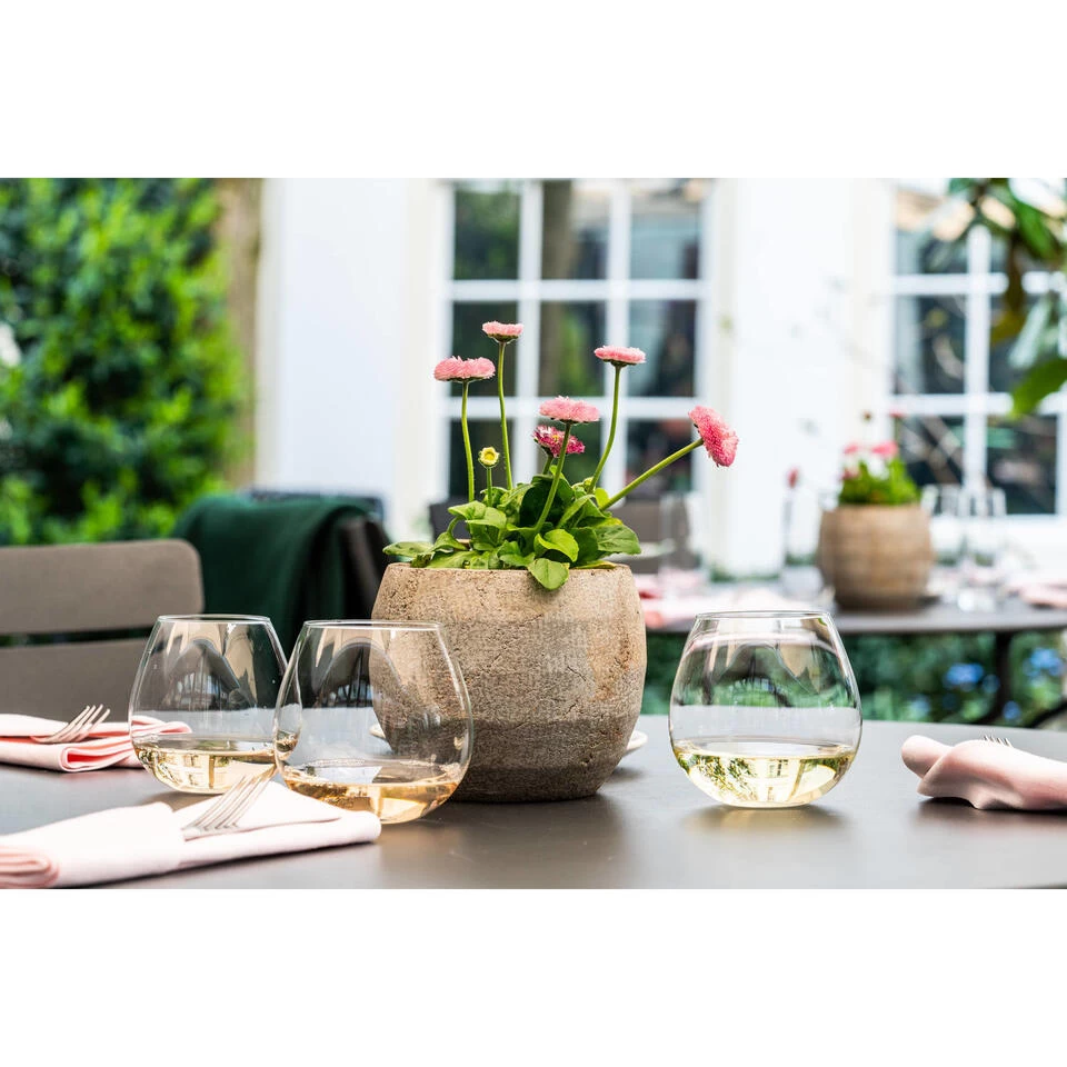 Royal Leerdam Wijnglazen Ronda - 6 Stuks - Witte Wijn - 470 Ml 4 Royal Leerdam Wijnglazen Ronda - 6 Stuks - Witte Wijn - 470 Ml - Afbeelding 2