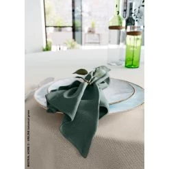 Mistral Home - Set Van 4 Servetten - 43x43 Cm - Donkergroen 5 Mistral Home - Set Van 4 Servetten - 43x43 Cm - Donkergroen -Beroemde Servies Winkel 1000020783 0101