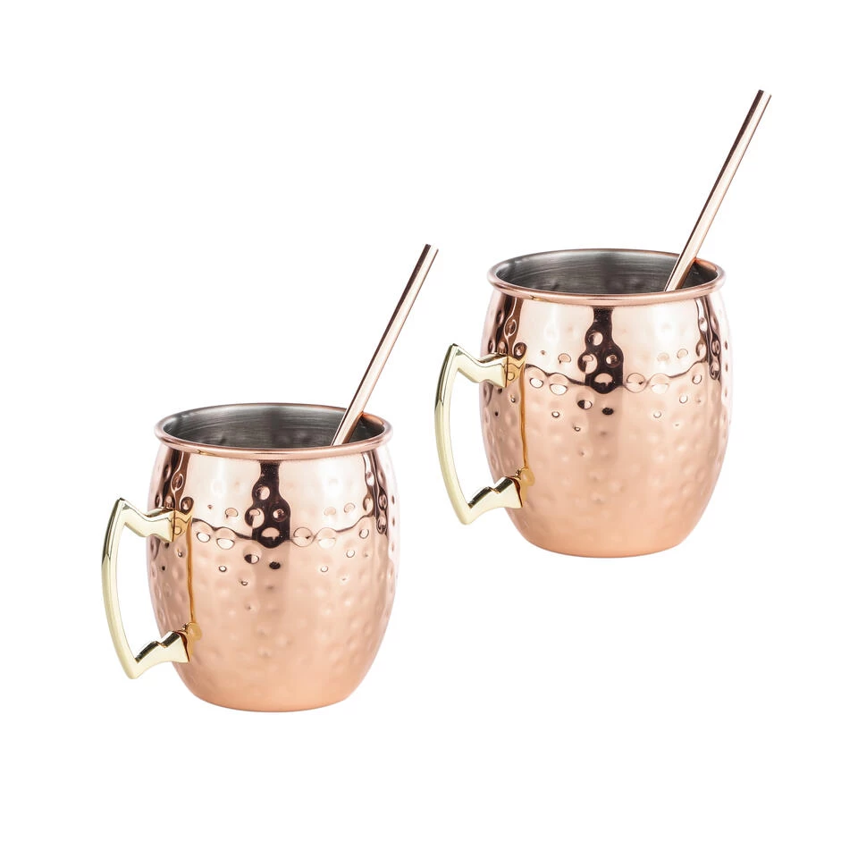 HI Set Van 2x Cocktailbekers/cocktailglazen Moscow Mule 500 Ml Met Drinkrietjes 3 HI Set Van 2x Cocktailbekers/cocktailglazen Moscow Mule 500 Ml Met Drinkrietjes