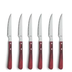 Amefa Steakmessen 6 St Brasero