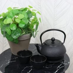 Orange85 Theepot Japanse Theeset 4-Delig -Beroemde Servies Winkel 1000033130 0101