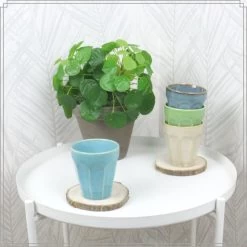 OTIX Cappuccino Kopjes 4 Stuks 250 Ml Porselein Hittebestendig Keuken -Beroemde Servies Winkel 1000033200 0111