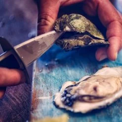 Orange85 Oestermes Met Siliconen Hulpmiddel Zwart En Blauw Oesters Openen -Beroemde Servies Winkel 1000069721 0111