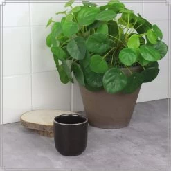 OTIX Espresso Kopjes Set Van 6 100 Ml Zwart 8 OTIX Espresso Kopjes Set Van 6 100 Ml Zwart -Beroemde Servies Winkel 1000085460 0110