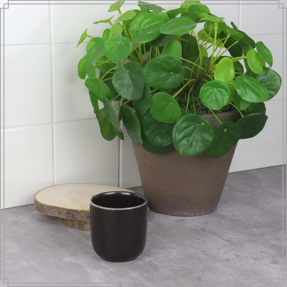 OTIX Espresso Kopjes Set Van 6 100 Ml Zwart 5 OTIX Espresso Kopjes Set Van 6 100 Ml Zwart - Afbeelding 3