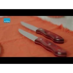 Amefa Hercule - 4 Steakmessen - Mahogany Red 9 Amefa Hercule - 4 Steakmessen - Mahogany Red -Beroemde Servies Winkel 1000088805 0103